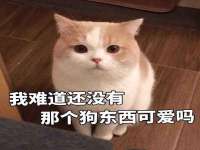 淮安风之帆网络科技有限公司