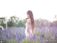 淮安风之帆网络科技有限公司