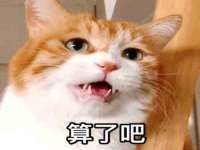 淮安风之帆网络科技有限公司