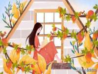 淮安风之帆网络科技有限公司